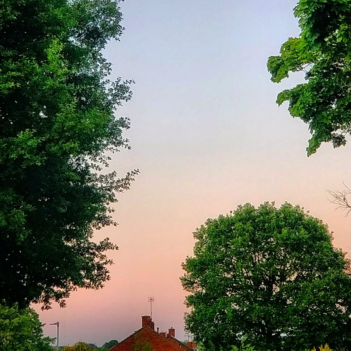 CliveNkickin's tweet photo. Ombre 🌄☮️ https://t.co/hfDZBbDUV7