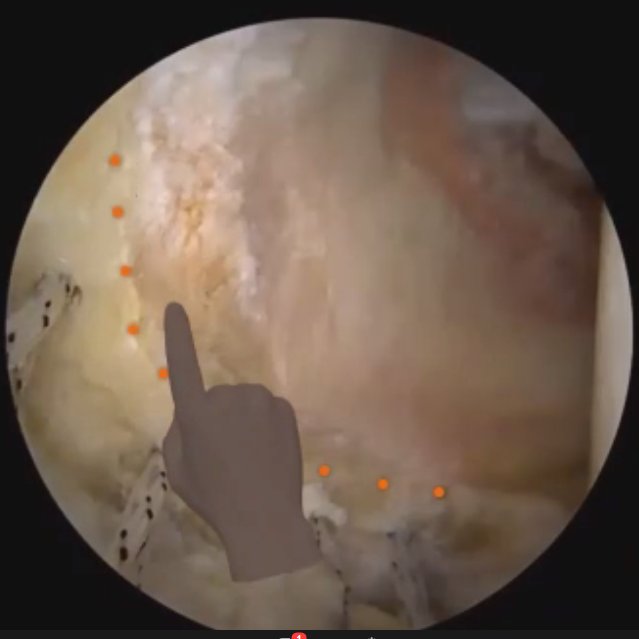 Phil Sheedy tweet media