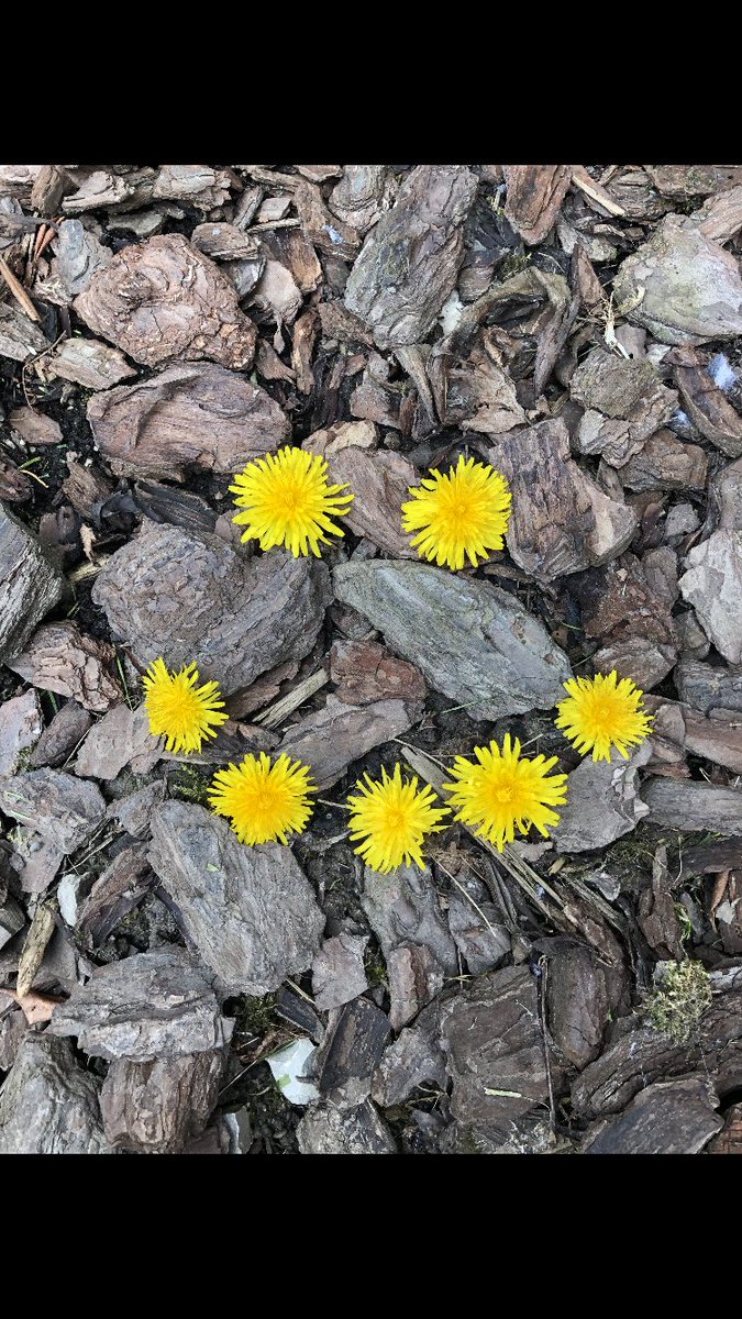 Mrs. Battiste FSP class tweet media