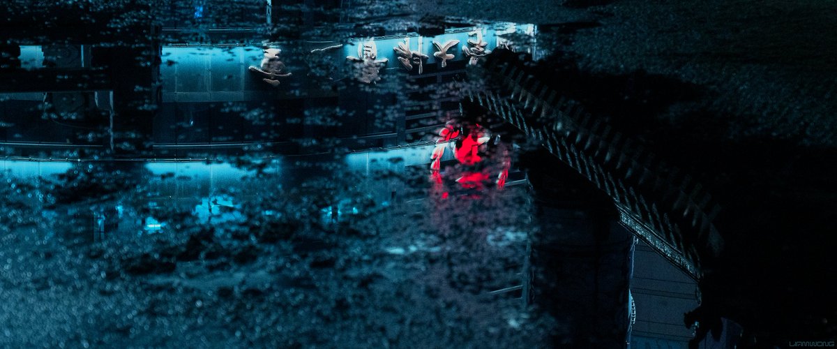 Photography by Liam Wong of Chongqing, China at night. An image shot through a puddle with a reflection of a traditional temple and a neon sign. It is a desaturated blue color.