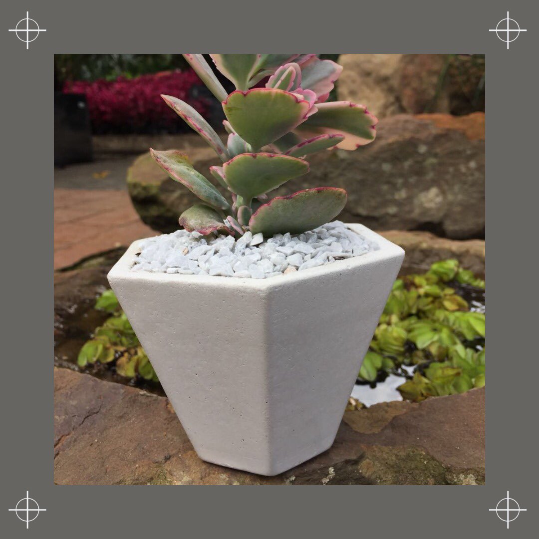 BietonCo's tweet photo. Matera Hexa, un accesorio perfecto para tu planta con mucho estilo. Dale vida a tus espacios. Disponible venta en línea 

https://t.co/Ve2qxJqBNZ

#loveforplants #interiordesign #concreto #tendencias https://t.co/kklMOWGxGa