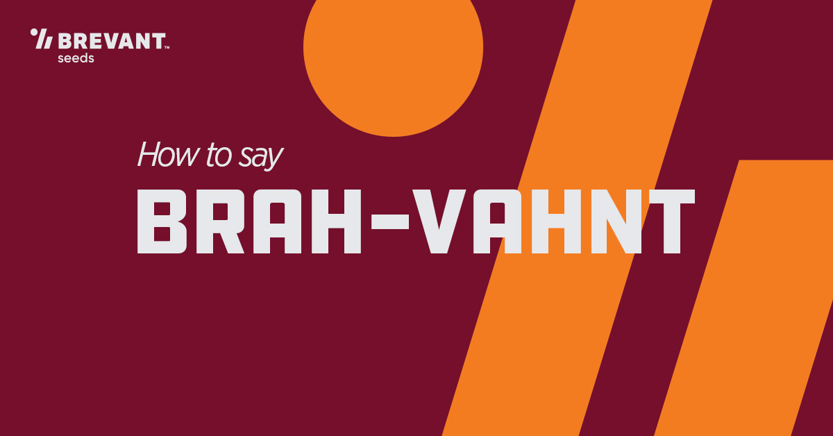 Brevant seeds U.S. tweet media