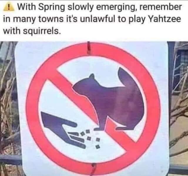 Welp