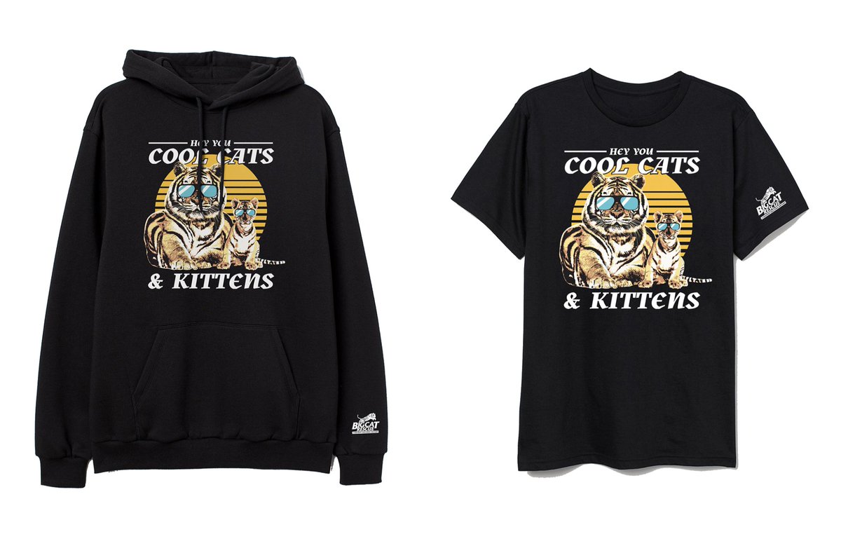 hofstra moletom com capuz