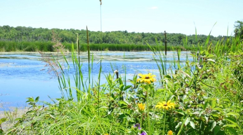 TownshipOfBrock's tweet photo. Lake Simcoe Region Conservation Authority aims to open conservation areas by May 29th
#LSRCA #ConservationAreas #Outdoors
https://t.co/vM62i0lO25 https://t.co/ItFXlwIgpV https://t.co/3WDs8Wdh2k