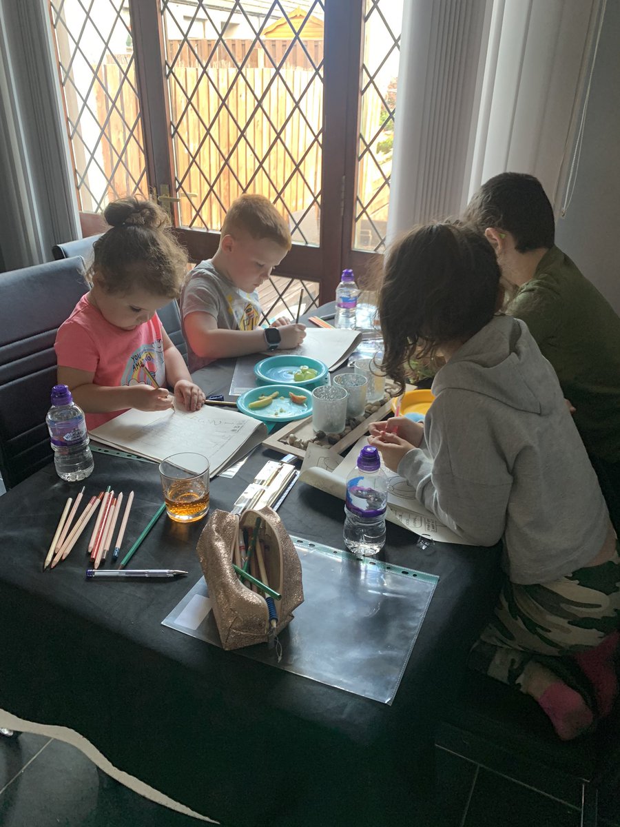 232Nikki's tweet photo. Busy little bees enjoying their workbooks that mummy made #stayhome #learningtogether @netherweans @MrsDoudie_P3 @NethermainsPS https://t.co/JGAeCgmvJE