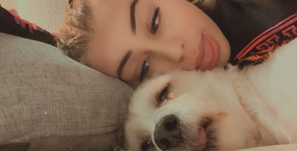 SabreCheer's tweet photo. Relaxing after e-learning with her doggie!  #sabresathome💛🖤 https://t.co/xB7fJHvxjj