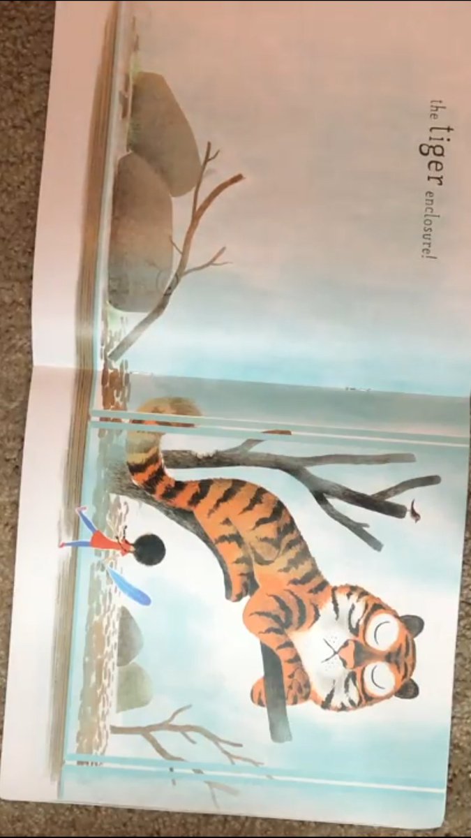 DVISD_PES's tweet photo. Wednesday's Mystery Reader was reading interventionist Ms. Nieto!
Now can guess which staff member reads @Pamela_Butchart's Never Tickle a Tiger in the video linked in the below @PophamLibrary tweet!
¿Podrán adivinar quién está narrando en el video abajo?
#DVreads https://t.co/7odBMkRPei