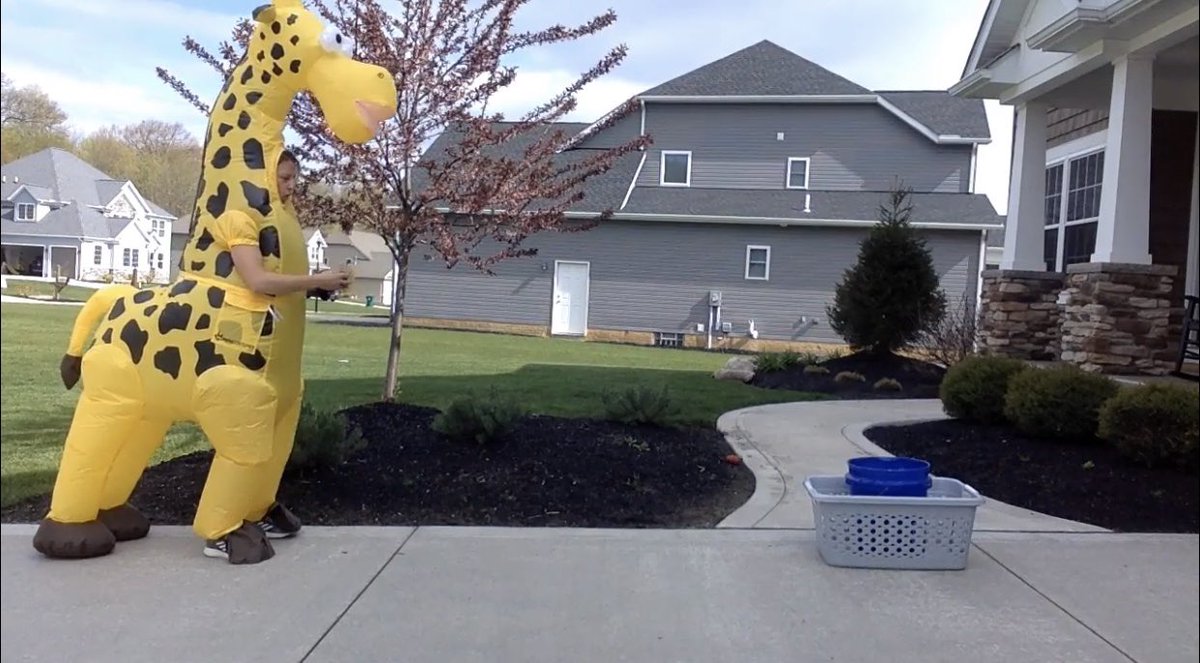 Mentor Virtual Field Day tweet media