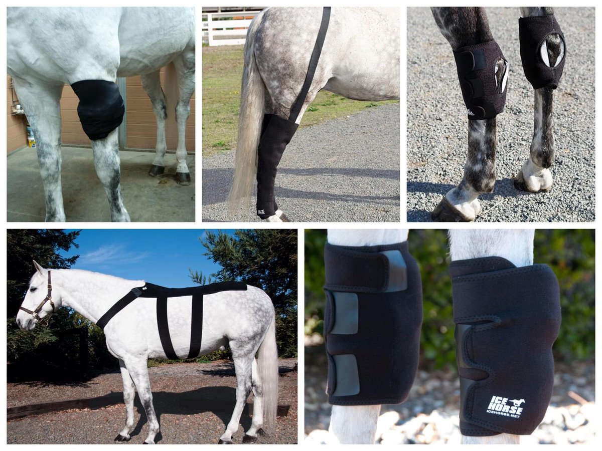 FMBs Therapy Systems tweet media