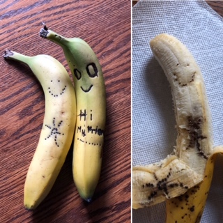 lanorOldaccount's tweet photo. Chloë used a toothpick to pierce the skin of a banana: one of the enzymes in the banana skin reacts with oxygen to produce an immediate brown colour. Here is the result! #LanorAtHome https://t.co/1IsXhMCLKC