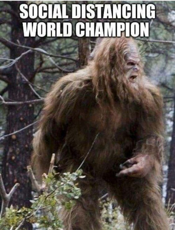 DocHuntersFla's tweet photo. Your Friday Laugh from Doc Hunters! - https://t.co/JhTi9lMF3J https://t.co/U2Yx59fMcJ