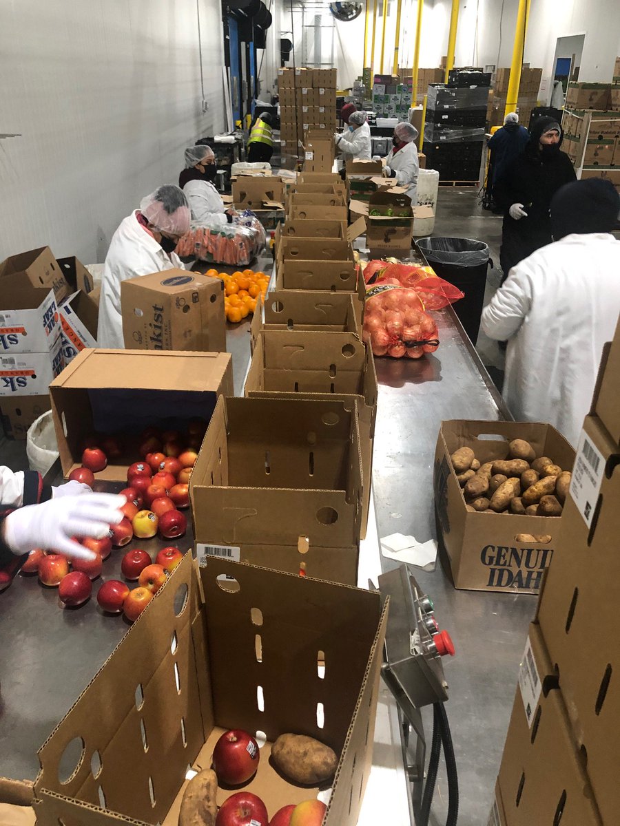 USDA_AMS's tweet photo. Thank you to our Farmers to Families Food Box suppliers hard at work procuring food &amp; moving it safely to communities in need.

"Our growers and especially the folks at Food Forward are excited. This program will impact thousands of lives in a very positive way." @4EARTHFARMS https://t.co/38r8uhFP8q