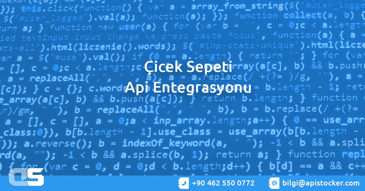 Mor Mini Orkide Huzur Bahcesi Teraryum Ciceksepeti