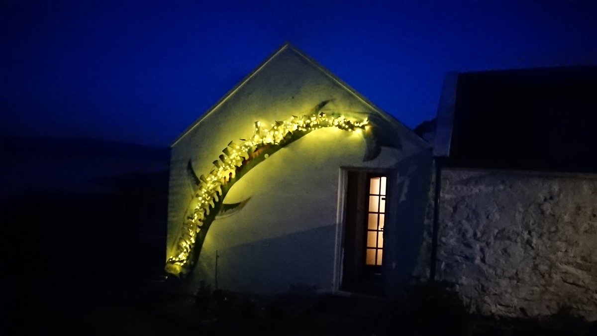 ArdnamurchanC's tweet photo. Illuminated the whale skeleton last night.
It's a Cuvier's Beaked Whale, mounted on the bothy wall by Trevor Potts, the former owner. https://t.co/asUhCuAsHR