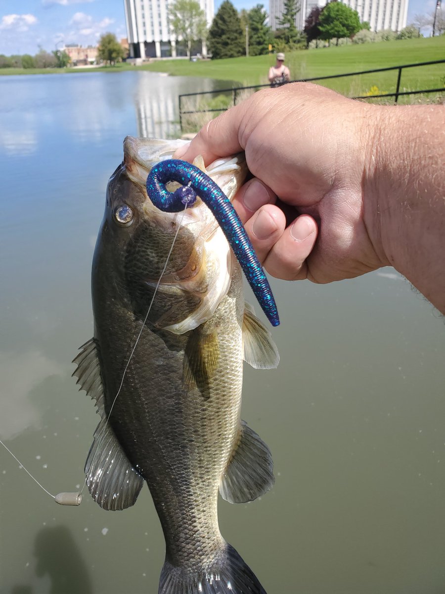 JamesPmghunter's tweet photo. Junebug #Deadstix to the Face 1st of 2 prespawners at a local pond @Bassreaperbaits  gettcha Some so you can Catch em in da face!!!! https://t.co/cM48MSEcw4