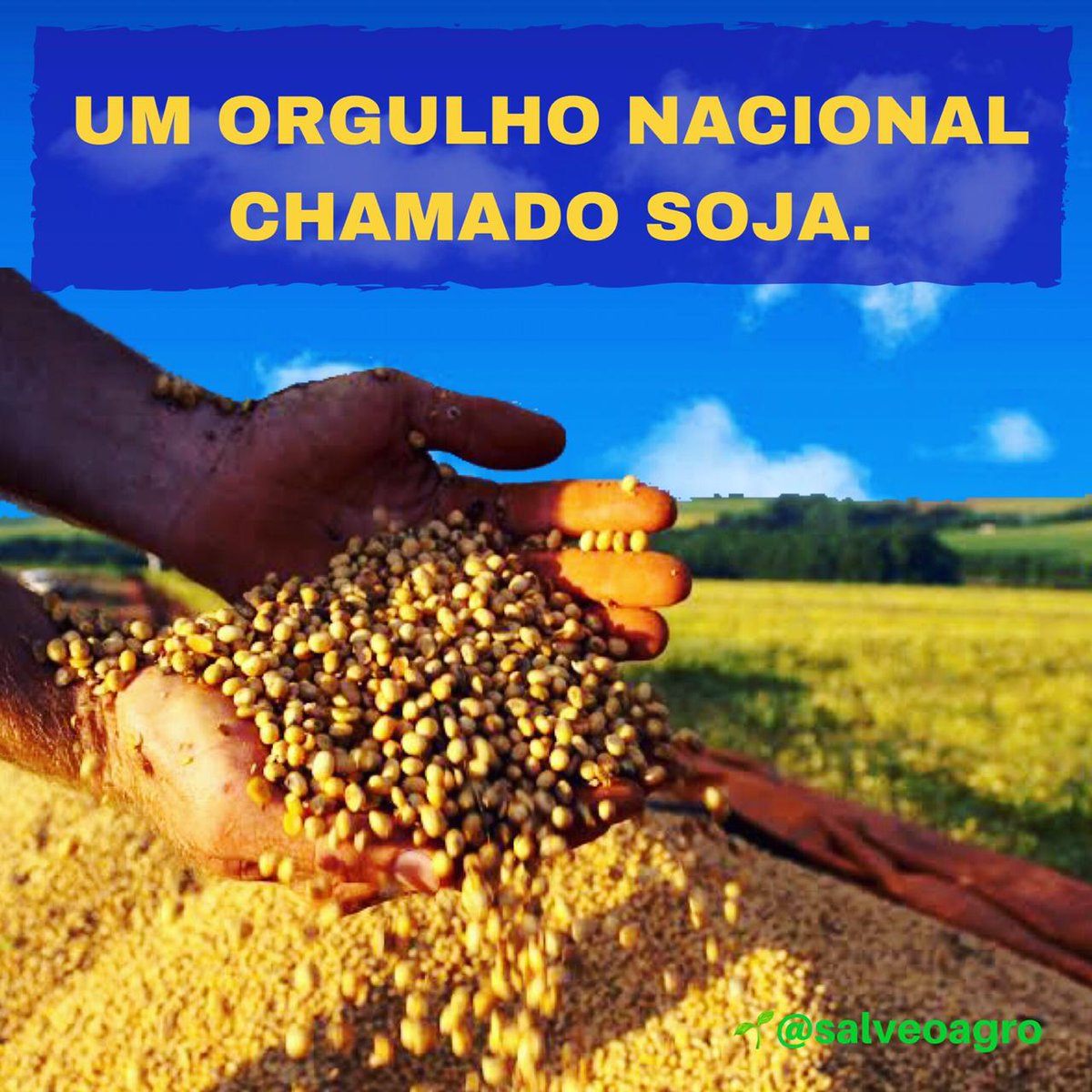 SalveAgro's tweet photo. Um orgulho nacional chamado soja

https://t.co/ZwQQIht6dQ

#agricultura
#pecuaria
#securitizaçãojá
#endividamentorural
#funrural
#agronegociobrasileiro
#agro #agronegociobrasil
#dívidasrurais
#pecuariadecorte
#mercadodacarne
#boigordo https://t.co/5D0A6JSvFn