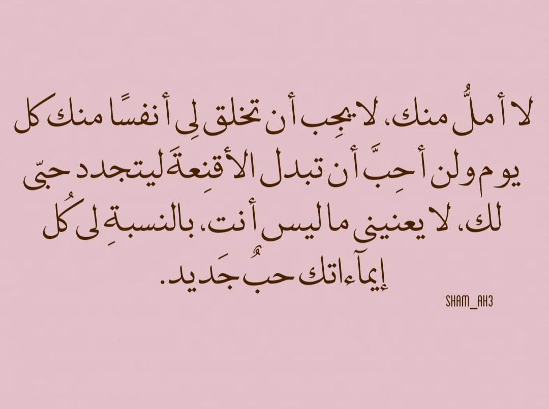 شام 🐰💕. tweet media