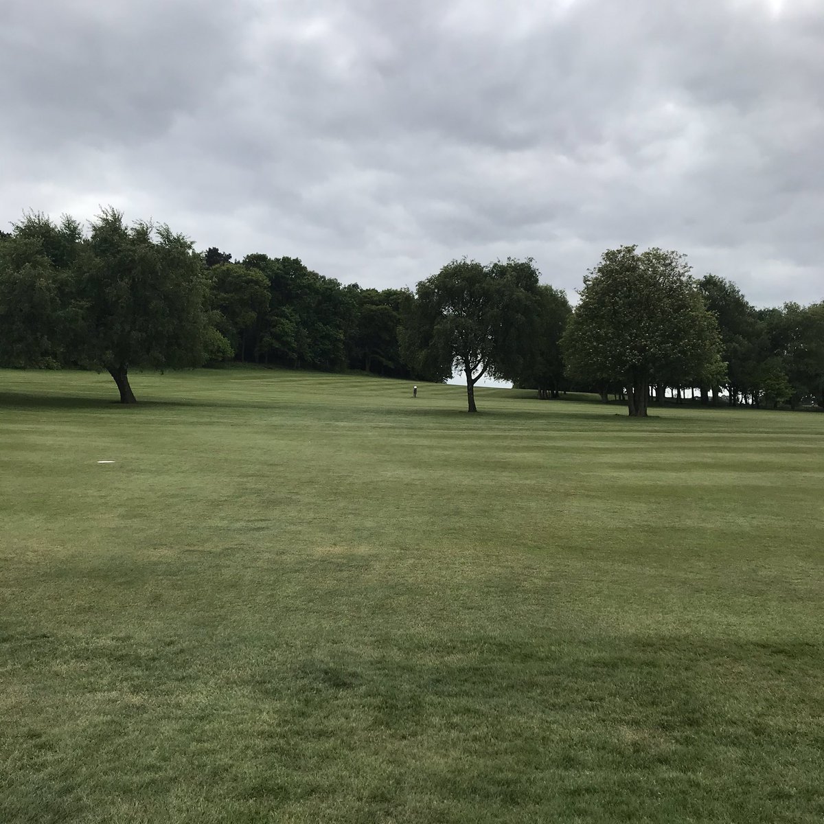 MarketDraytonGC's tweet photo. Day 3 of opening, course in good condition and everyone abiding by the new rules. Great support from the membership. Thanks to everyone who’s worked so hard through the closure. https://t.co/0cq03PgH6b