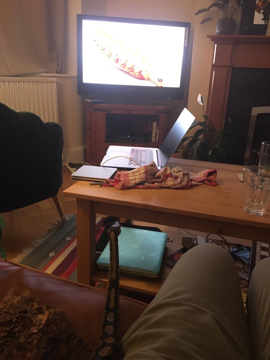 King’s Biology tweet media