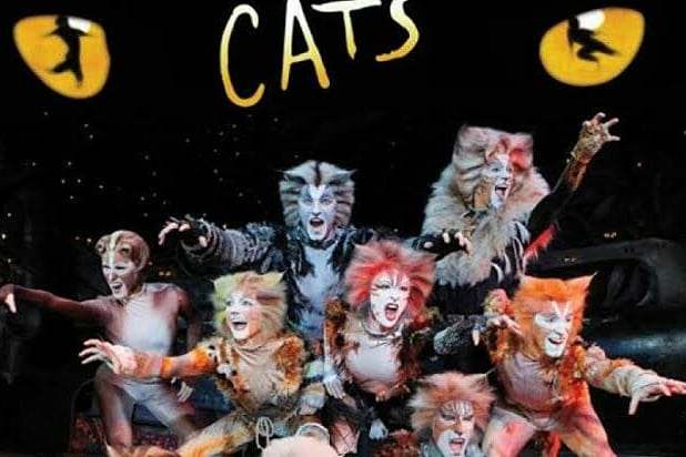 MutisTeatro's tweet photo. ¡CATS presentado por The Show Must Go On disponible únicamente por 24 horas!

A medida que los Jellicle Cats emergen en el depósito de chatarra, cada gato se presenta a sí mismo: desde el mágico Mr Mistoffelees hasta el misterioso Macavity.

https://t.co/BKIwZpQ79Y https://t.co/qa2cNydlZx