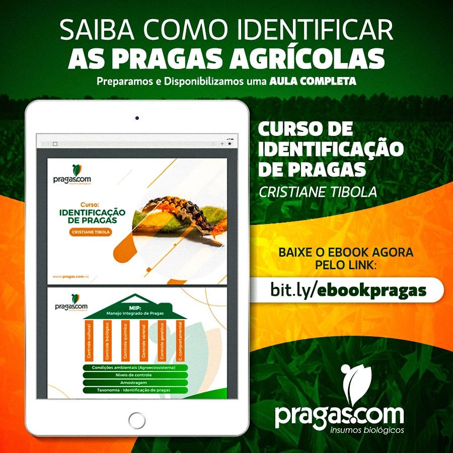 ✅Preparamos e disponibilizamos um curso completo e gratuito sobre IDENTIFICAÇÃO DE PRAGAS ➡ Desenvolvido pela nossa CEO <a href="/cristibola/">Cristiano Tibola</a> 
📲Acesse o link: bit.ly/ebookpragas 

#agro #agricultura #pragasagricolas #controlebiologico #oagronaopara #controledepragas #curso #ebook