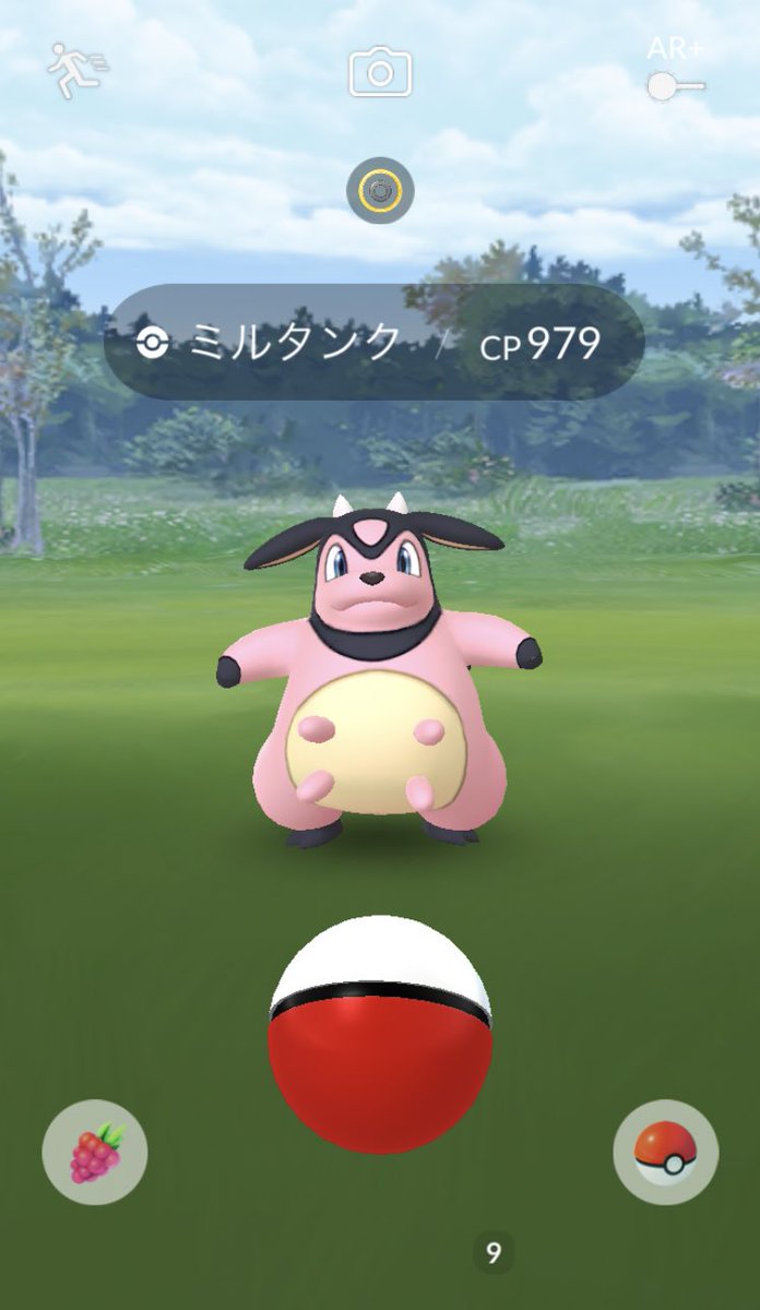 ミルタンク 進化前 イメージポケモンコレクション ミルタンク 進化前 イメージポケモンコレクション