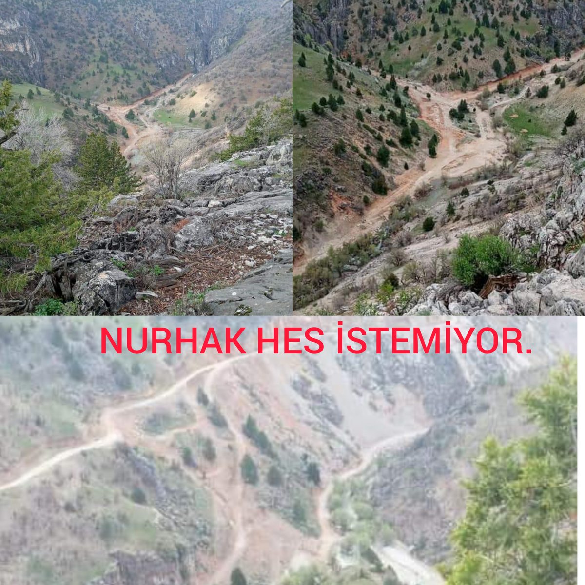 evin_soysal's tweet photo. #ZilandaEkolojikKatliamDurdurulsun https://t.co/DIT7OKZ1cq