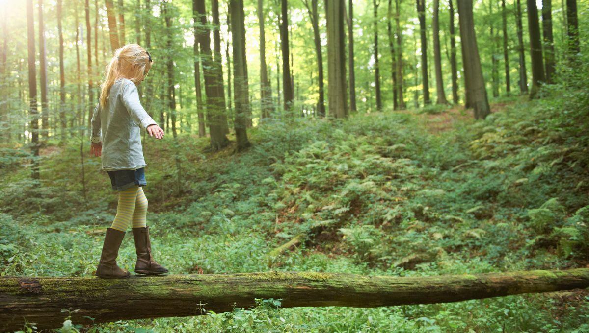 franceinter's tweet photo. Pourquoi l'accès à la nature est si vital ? 
https://t.co/n6nbZqE1pL https://t.co/mdKdUDvcJA