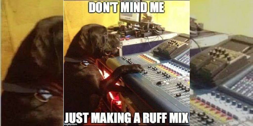Americanmusical Meme Credit Music Nerds Can You Turn Up The Woofer Meme Memes Musicmeme Musicianmeme Dankmeme Funnymeme Recodingmeme Studiomeme Dogs Americanmusical Americanmusicalsupply T Co Apa7m0xnr8