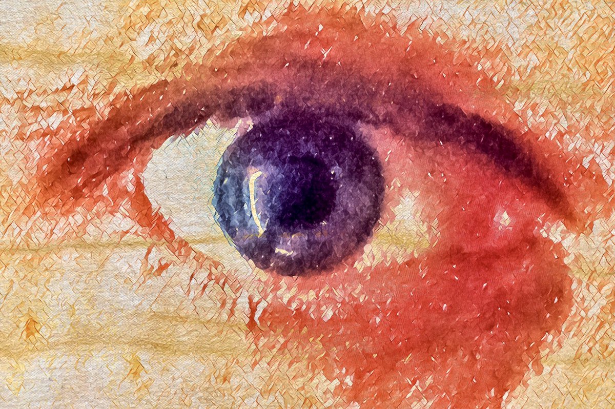 TheDangerKatt's tweet photo. These are my entries for this week’s @Sigma_Photo #SigmaShotAtHome competition!
#photography #sigma #sigmaphoto #cats #scifi #art #kitty #artist #photographer #photoart #streetphotography #dtla #losangeles #Hollywood #writer #writerslife https://t.co/pyYv43Vixi