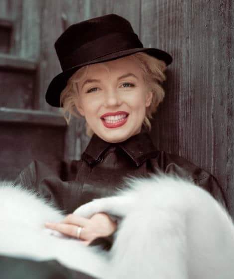 The Marilyn Diaries tweet media