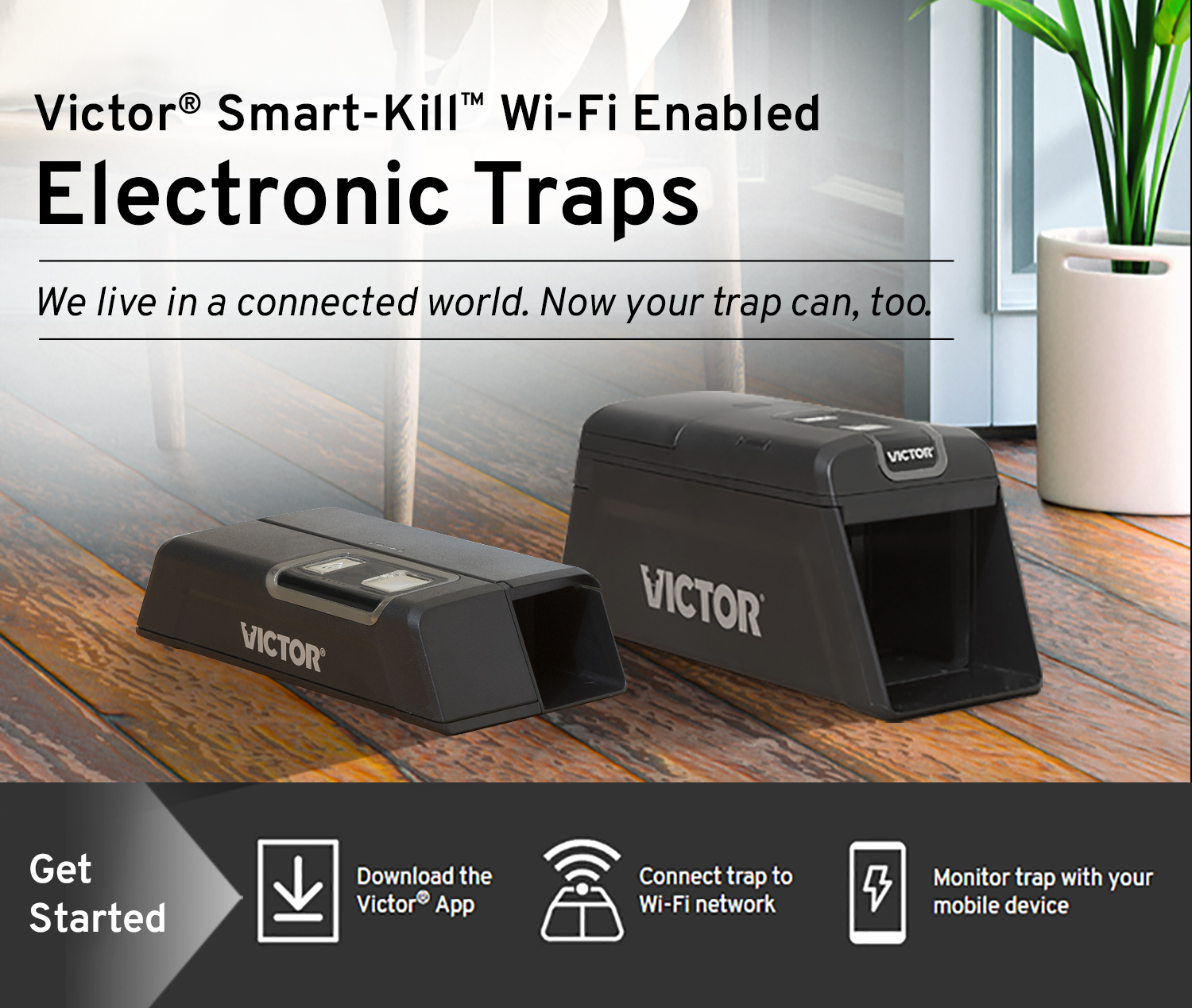 How to Connect the Smart-Kill Wi-Fi Electronic Rat Trap 