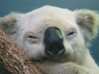 Friday, May 15th, 2020