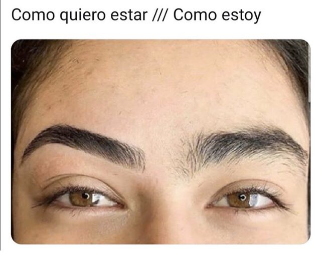 waxandlux's tweet photo. La naturaleza vuelve a tomar lo que es suyo🤭. https://t.co/b5N0qgPdHR