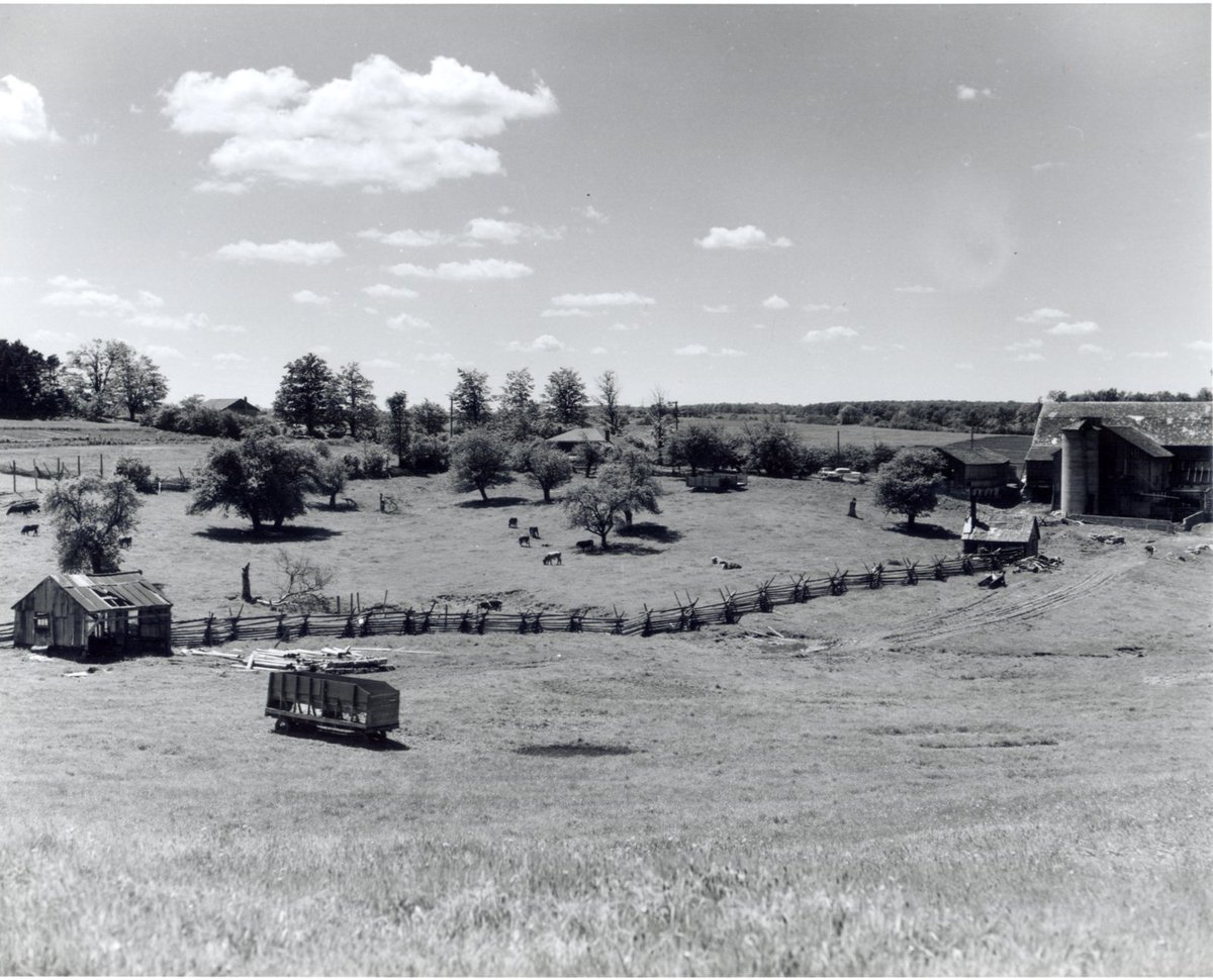 WaterlooLibrary's tweet photo. How the @citywaterloo has changed. This image, taken 60 years ago today, of the Quickfall Farm shows a barn, silo, and cattle grazing. The Quickfalls settled in @RegionWaterloo in 1841. The land is now home to the Glenridge Plaza. #kwawesome #ThrowbackThursday
#TBT @citywaterloo https://t.co/RI6ItyzfnX