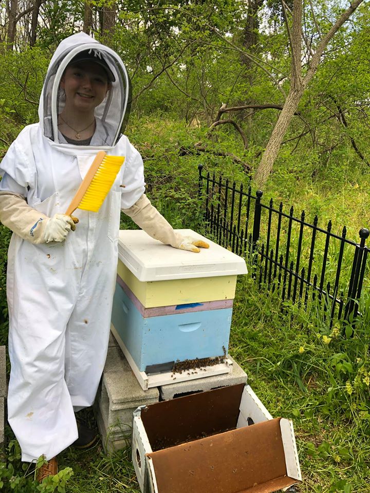 Perkiomen_Bees's tweet photo. Caught and relocated a swarm today! #beekeeping #bees https://t.co/1RCAZx6NYI
