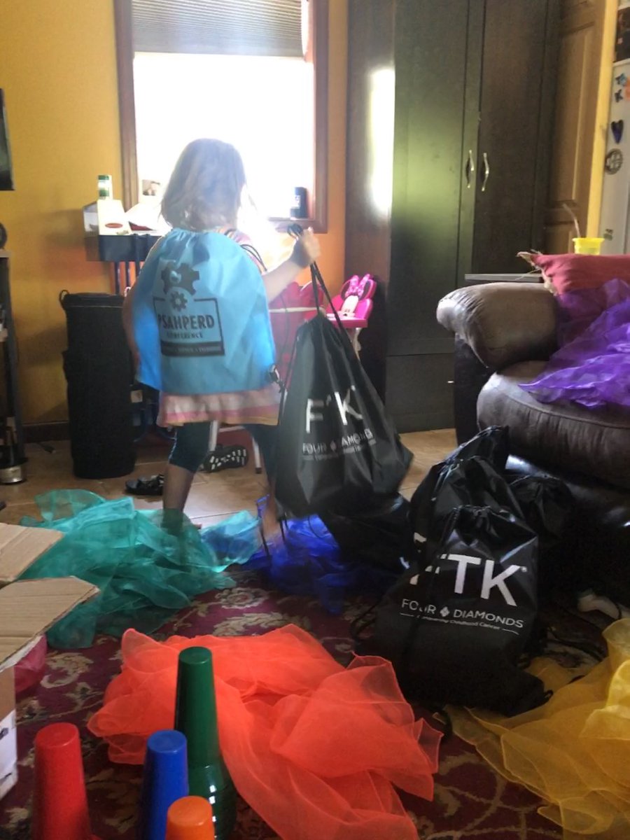 ccmsPE's tweet photo. Thanks @PSAHPERD for your bag donation.  We filled them with #physed and #OrganTissueDonorAwareness resources that will be handed out next week at #GrabNGoLunch!  #CommUNITY #FalconPride #HPEatHome @MsTonkinCCMS @coachkemmlein https://t.co/HMuUPnoTYE