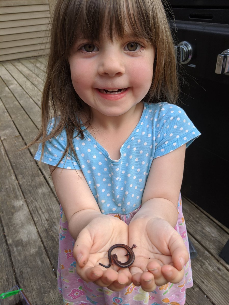 I've got a herpetologist in training!