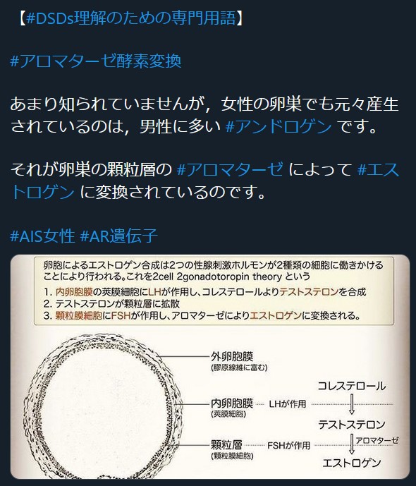 アロマターゼ Hashtag On Twitter