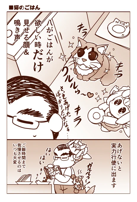「猫のご飯」 #漫画 #猫 https://t.co/LiuyaACyGI 