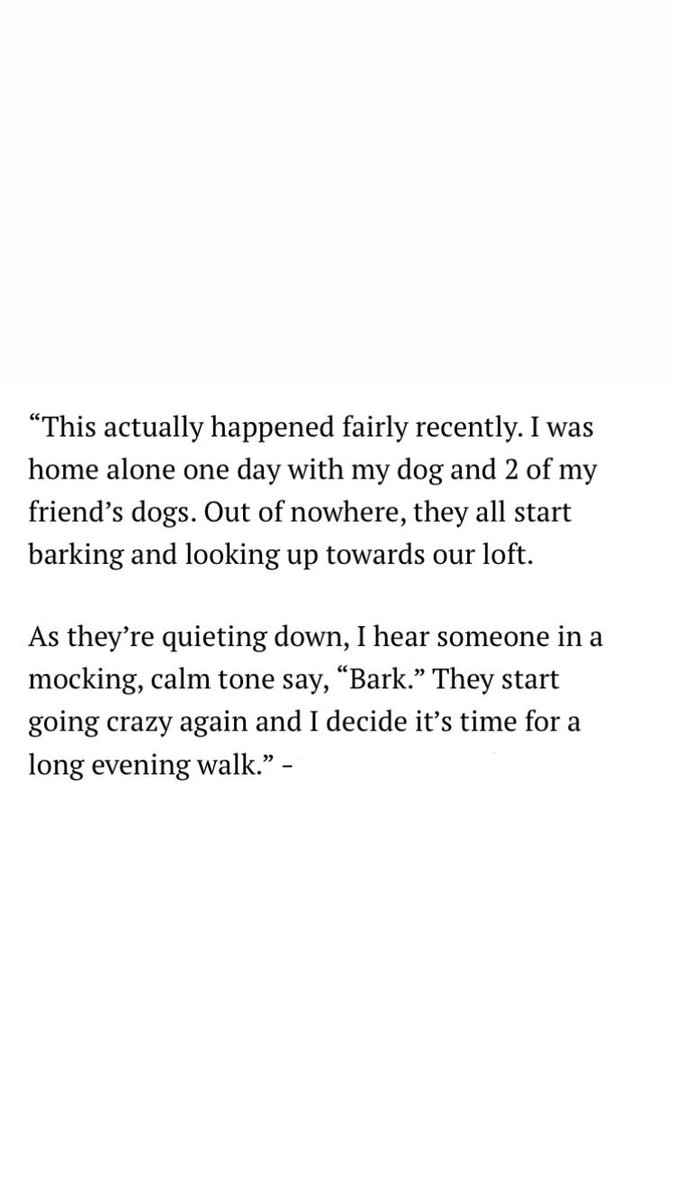 Wyatt Shears (@oldhauntedhorse) on Twitter photo 