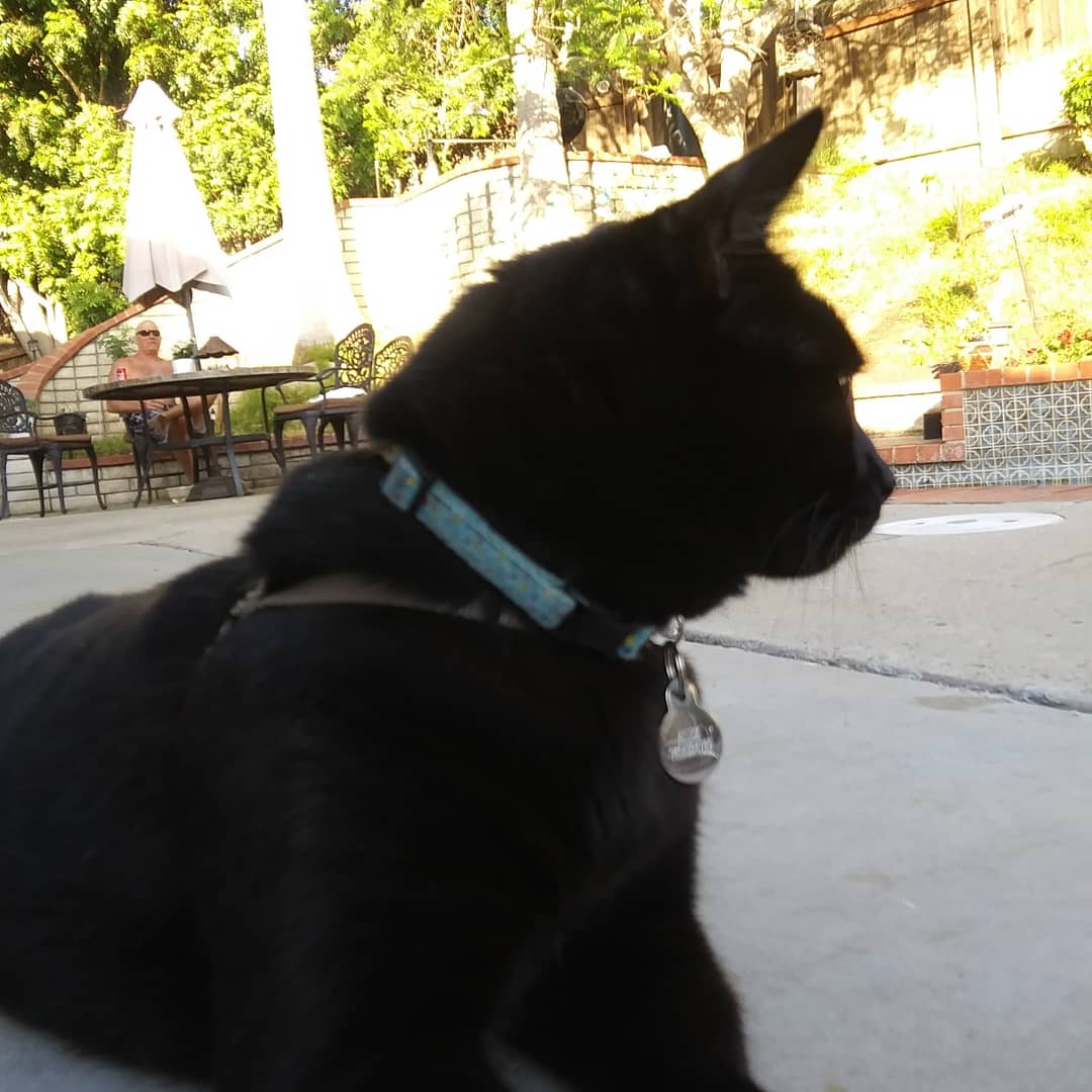 Fidomingle's tweet photo. Friday chill wit my dog pals 🐾🐱❤
#happyfriday #FidomingletheApp #dogs #cats #social #sharing #caring #families #recordkeeping #petrecords #reminders #friends #pets #family #travel #petlover #entrepawneur https://t.co/579OU6GV3e