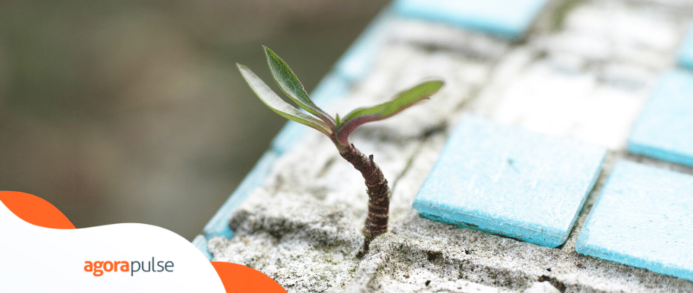 NealSchaffer's tweet image. Survival Tips for a Social Media Agency in a Tough Sector agorapulse.com/blog/survival-… #smm #socialmedia #marketing