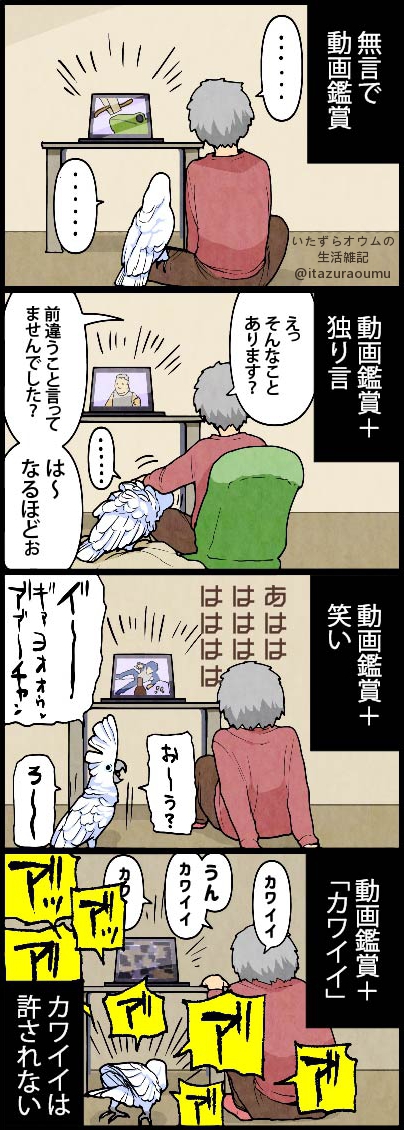 やきもちMAX

#いたずらオウムの生活雑記 #漫画 