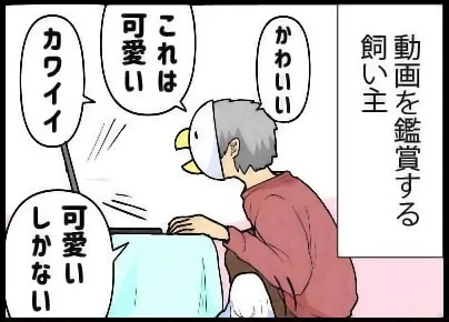 やきもちMAX#いたずらオウムの生活雑記 #漫画 