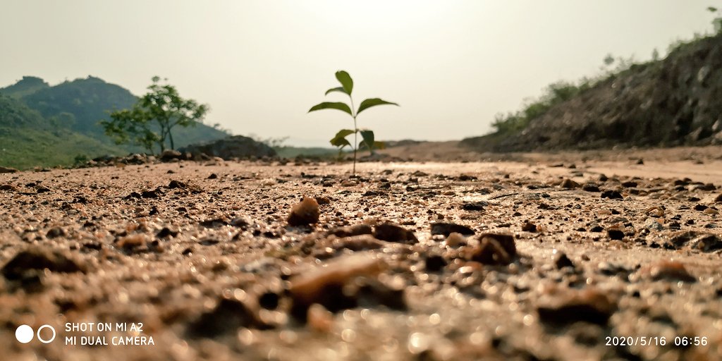 Sid03hart's tweet photo. Reviving nature.....
.#earth_shotz #globalpixels #nature #wanderlust #naturelovers #naturelover #naturegram #landscape #longexposure #weather #sunset #mountains #india #sunrise #travel #quote #quotes #nature_perfection #sunsets #sky #sky_captures #wonderfulworld #colors_of_day https://t.co/QayzHGbzTn