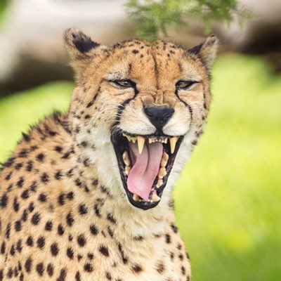 BraidenT_16's tweet photo. #NewProfilePic https://t.co/dWJXLUGyr6