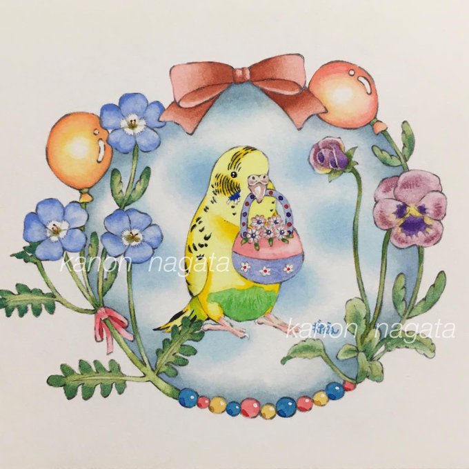 インコのイラストのtwitterイラスト検索結果 インコのイラストのtwitterイラスト検索結果