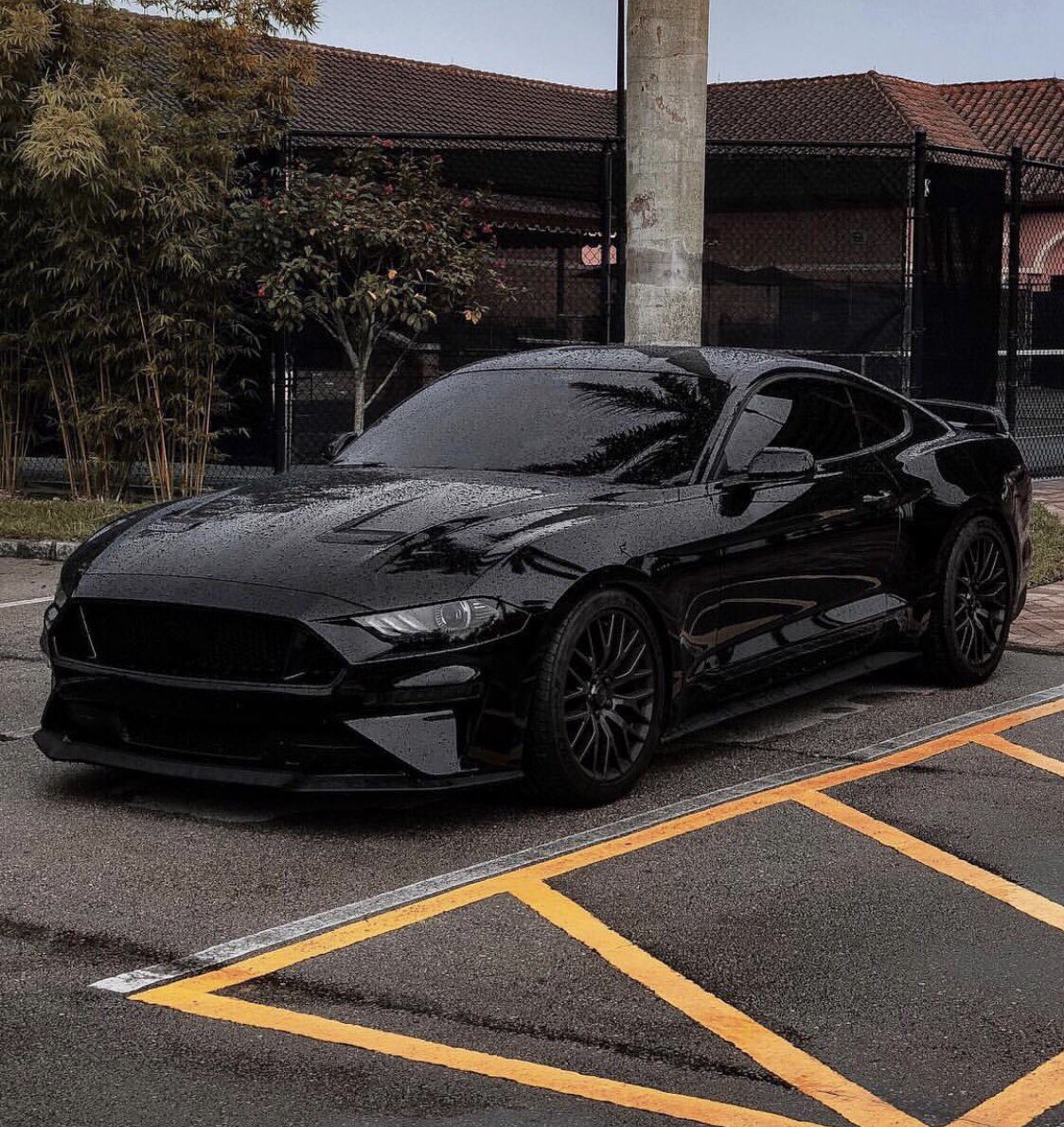 Blacked Out 💪😍